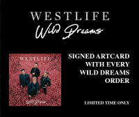 新专辑《Wild Dreams》购买指南